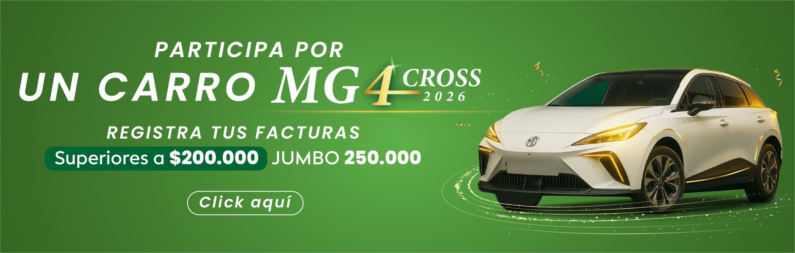 carro-png-WEB-BANNER-REGISTRO-FACTURAS-1-scaled